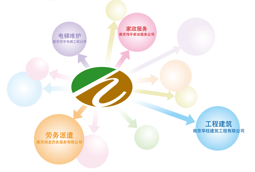 公司展望