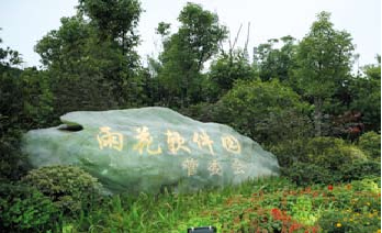 雨花软件园